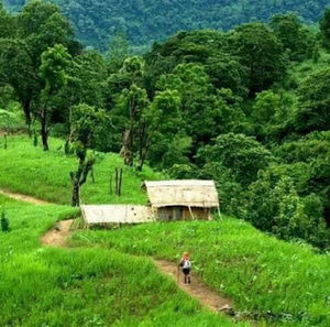 Meet your Posher, Yer